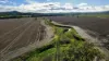 "Werribon" 201 Warrah Creek Road, Willow Tree, NSW 2339-Image