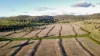 "Werribon" 201 Warrah Creek Road, Willow Tree, NSW 2339-Image