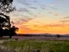 "Werribon" 201 Warrah Creek Road, Willow Tree, NSW 2339-Image