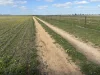 . 'Wesburra' Lease, Nukarni, WA 6480-Image