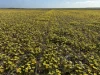 . 'Wesburra' Lease, Nukarni, WA 6480-Image