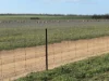 . 'Wesburra' Lease, Nukarni, WA 6480-Image