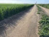 . 'Wesburra' Lease, Nukarni, WA 6480-Image