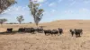 'Windermere' 5518 Golden Highway, Merriwa, NSW 2329-Image