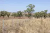 'Windermere' 5518 Golden Highway, Merriwa, NSW 2329-Image
