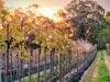'Winter Hill' 2233 Canyonleigh Road, Canyonleigh, NSW 2577-Image