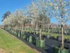 'Winter Hill' 2233 Canyonleigh Road, Canyonleigh, NSW 2577-Image