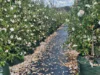 'Winter Hill' 2233 Canyonleigh Road, Canyonleigh, NSW 2577-Image