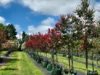 'Winter Hill' 2233 Canyonleigh Road, Canyonleigh, NSW 2577-Image