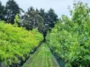 'Winter Hill' 2233 Canyonleigh Road, Canyonleigh, NSW 2577-Image