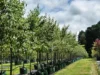 'Winter Hill' 2233 Canyonleigh Road, Canyonleigh, NSW 2577-Image