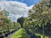 'Winter Hill' 2233 Canyonleigh Road, Canyonleigh, NSW 2577-Image