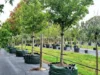 'Winter Hill' 2233 Canyonleigh Road, Canyonleigh, NSW 2577-Image
