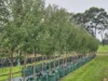 'Winter Hill' 2233 Canyonleigh Road, Canyonleigh, NSW 2577-Image