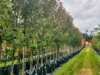 'Winter Hill' 2233 Canyonleigh Road, Canyonleigh, NSW 2577-Image
