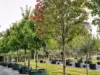 'Winter Hill' 2233 Canyonleigh Road, Canyonleigh, NSW 2577-Image