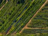 'Winter Hill' 2233 Canyonleigh Road, Canyonleigh, NSW 2577-Image