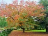 'Winter Hill' 2233 Canyonleigh Road, Canyonleigh, NSW 2577-Image