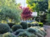 'Winter Hill' 2233 Canyonleigh Road, Canyonleigh, NSW 2577-Image