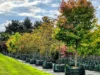 'Winter Hill' 2233 Canyonleigh Road, Canyonleigh, NSW 2577-Image