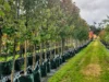 'Winter Hill' 2233 Canyonleigh Road, Canyonleigh, NSW 2577-Image