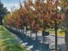 'Winter Hill' 2233 Canyonleigh Road, Canyonleigh, NSW 2577-Image