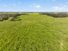 'Woolshed' Kelly Road, Undalya, SA 5451