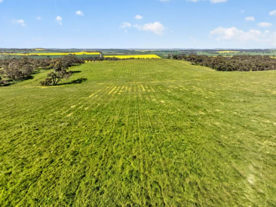 'Woolshed' Kelly Road, Undalya, SA 5451