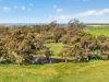'Woolshed' Kelly Road, Undalya, SA 5451-Image