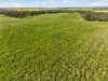 'Woolshed' Kelly Road, Undalya, SA 5451-Image