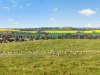 'Woolshed' Kelly Road, Undalya, SA 5451-Image