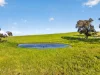 'Woolshed' Kelly Road, Undalya, SA 5451-Image