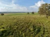 "Yallambee" 92 Yallambee Road, Cassilis, NSW 2329-Image