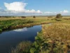 "Yallambee" 92 Yallambee Road, Cassilis, NSW 2329-Image
