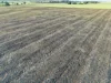 "Yallambee" 92 Yallambee Road, Cassilis, NSW 2329-Image