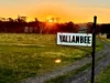 "Yallambee" 92 Yallambee Road, Cassilis, NSW 2329-Image