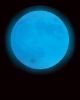 Blue Moon Rentals - Real Estate Agent - Blue Moon Property - Queensland