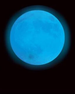 Blue Moon Rentals - Real Estate Agent