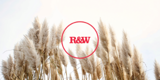 Property Management Department - Real Estate Agent