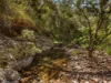 0, England Creek QLD 4306-Image