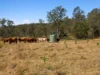 0, England Creek QLD 4306-Image