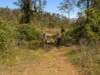 0, England Creek QLD 4306-Image