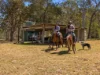 0, England Creek QLD 4306-Image