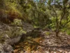 0 England Creek Road, England Creek, Qld 4306-Image