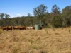 0 England Creek Road, England Creek, Qld 4306-Image