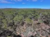 0 Halls Road, Brenanah, Vic 3517-Image