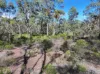 0 Halls Road, Brenanah, Vic 3517-Image