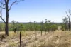 0 Hazeldene Road, Thane QLD 4370-Image