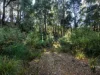 0 Pages Road, Moorleah TAS 7325-Image