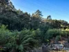 0 Pages Road, Moorleah TAS 7325-Image